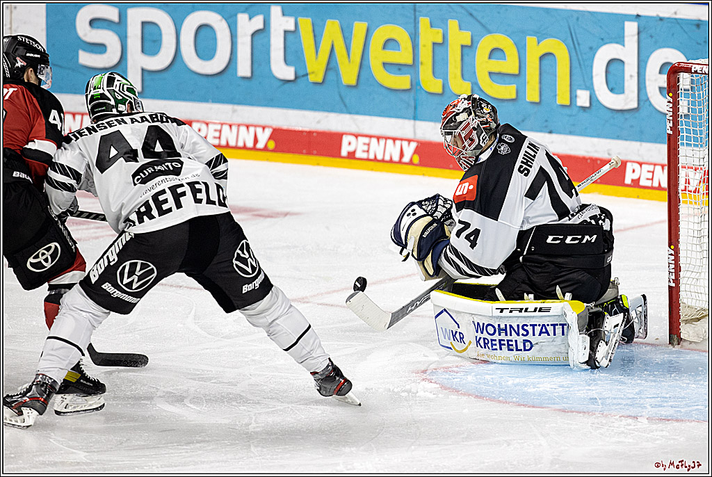PENNY DEL;  Koelner Haie - Krefeld Pinguine; Koeln, 31.10.2021